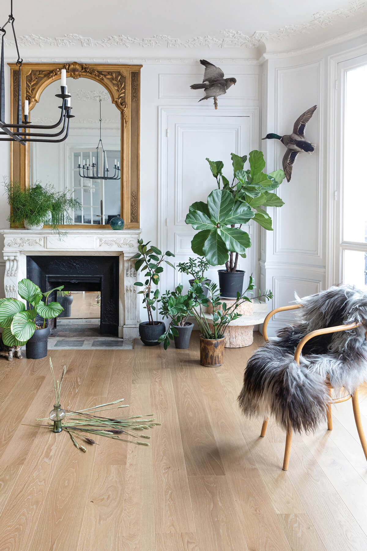 Parquet ambiance et tendance 5 parquet toulouse bois ma maison