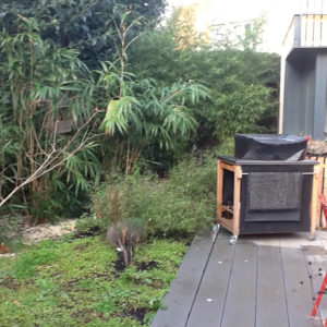 le nain vert toulouse