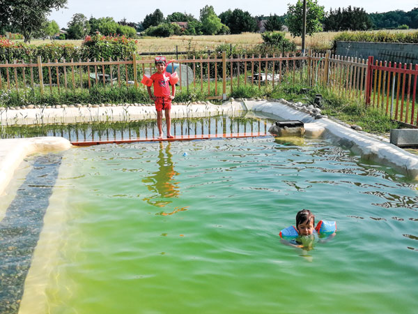 Maison écologique auto-construite à Fontenilles 10 piscine biologique Toulouse