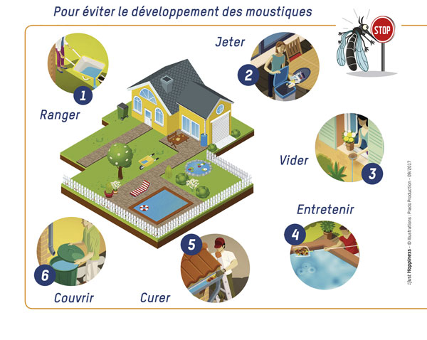 Moustique tigre : comment limiter l'invasion ? 3 moustique tigre toulouse