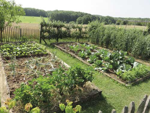 Créer des ambiances dans son jardin 5 jardin toulouse caue31 maison paysagisme