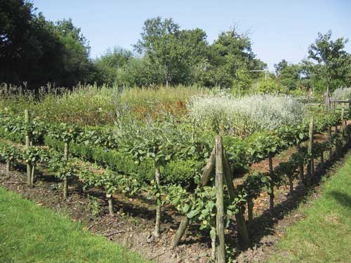 Créer des ambiances dans son jardin 6 jardin toulouse caue31 maison paysagisme