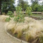 jardin toulouse caue31 maison paysagisme