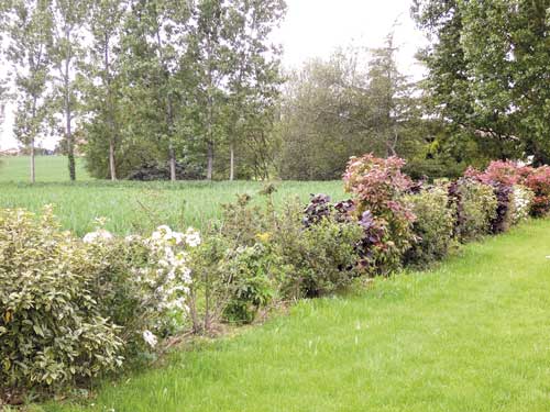 Organiser l’espace de votre jardin 2 jardin toulouse caue31 maison paysagisme