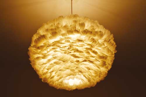 Rencontre avec Valérie Arnac 4 rencontre valerie arnac toulouse