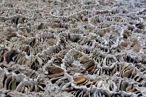 Éloïse Baro, mosaïste d’art 5 eloise baro mosaiste d'art