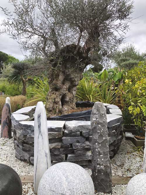 Déco minérale au jardin 14 olivier centenaire boules monolithes ardoise jardi creation pins justaret