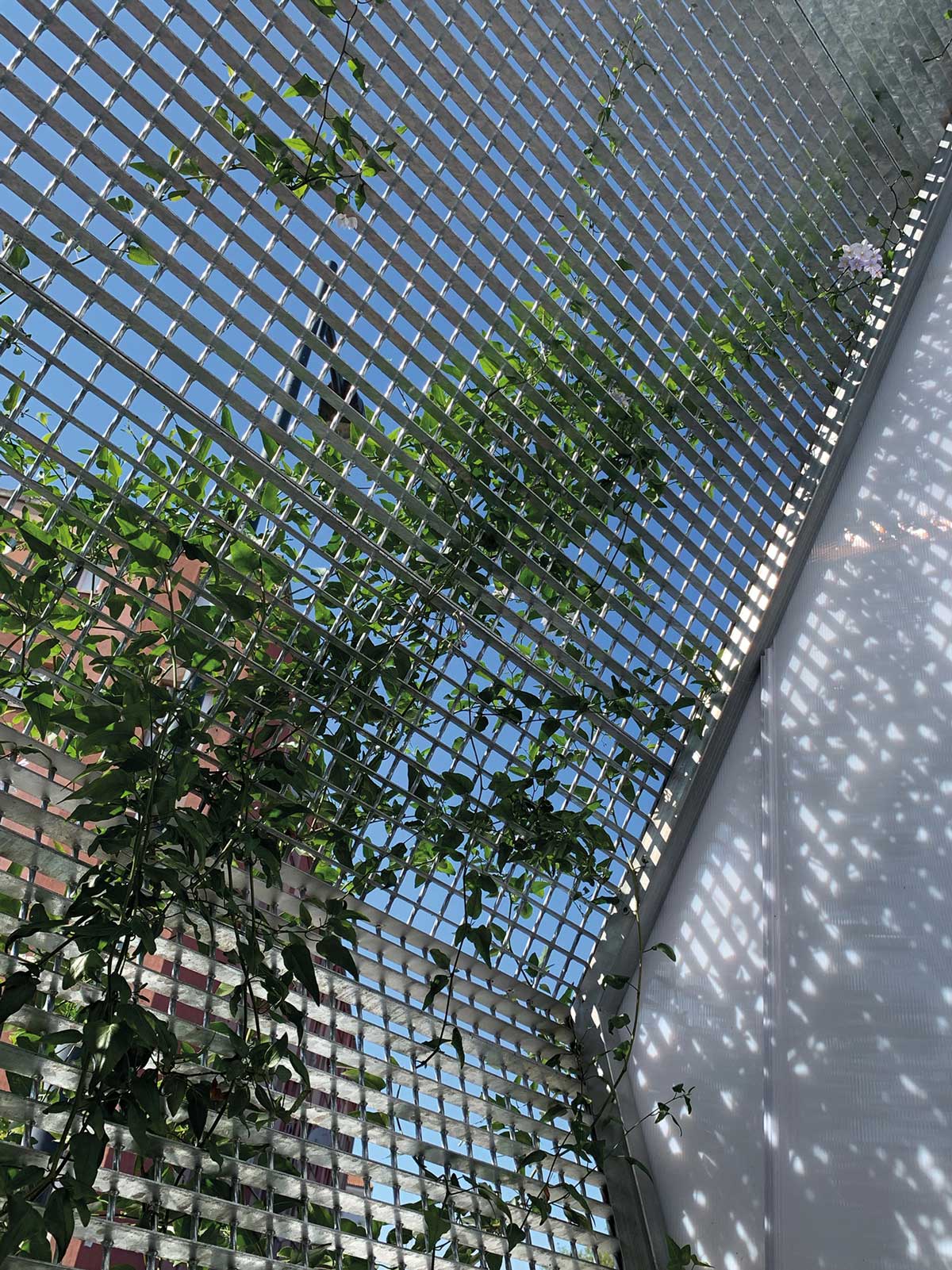 Toulouse Tokyo maison de 2,30m de large par Franck Duflo 10 maison renovee franck duflo toulouse