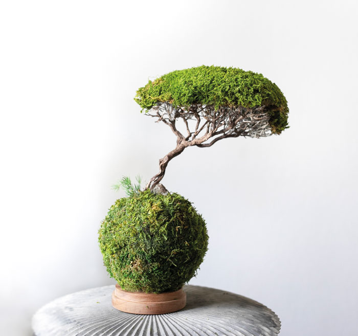 Fête des pères 2022 2 fete des peres 2022 idee cadeau