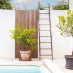 spironello paysagiste amenagement jardin toulouse