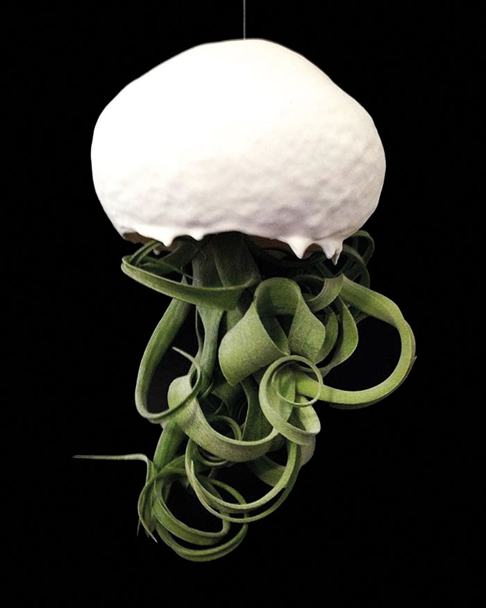 Virginie Delepierre céramiste 3 virginie delepierre ceramiste primee tarn