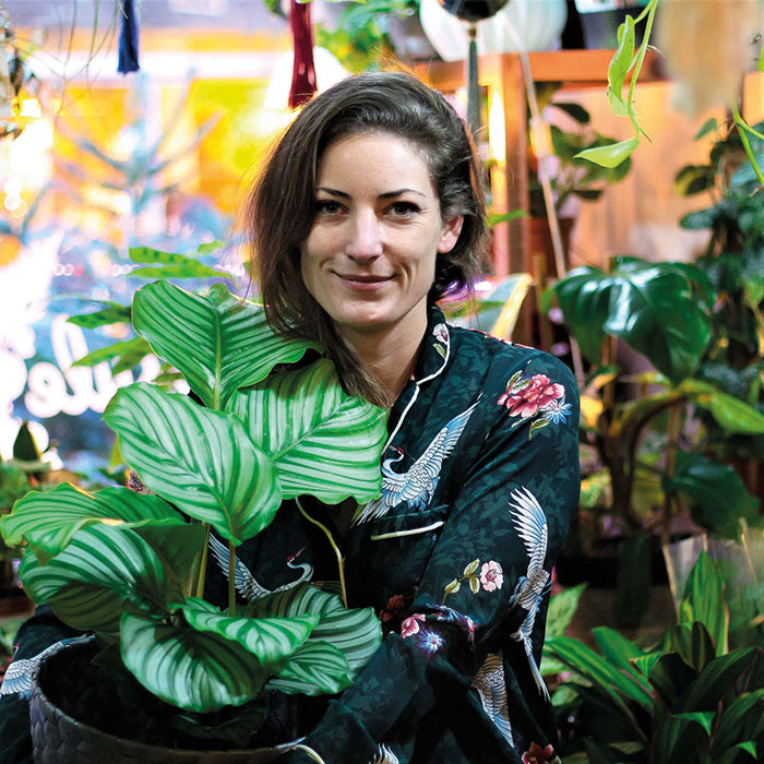 La touche verte des intérieurs 1 agence vegetale capsule vegetale toulouse