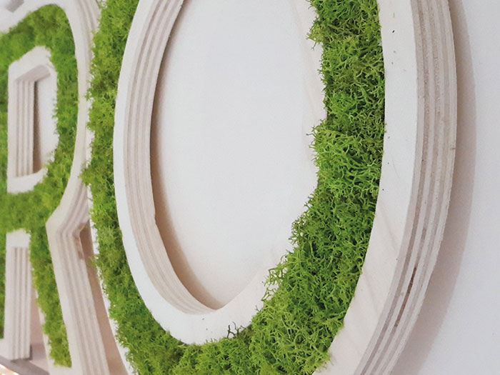La touche verte des intérieurs 5 agence vegetale capsule vegetale toulouse