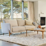 shopping salon canapé table basse fauteuil