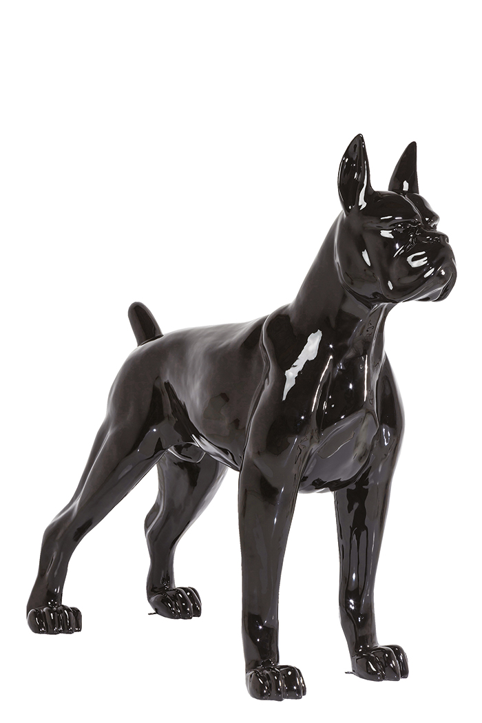 Disco 2 ambiance discotheque pour la maison