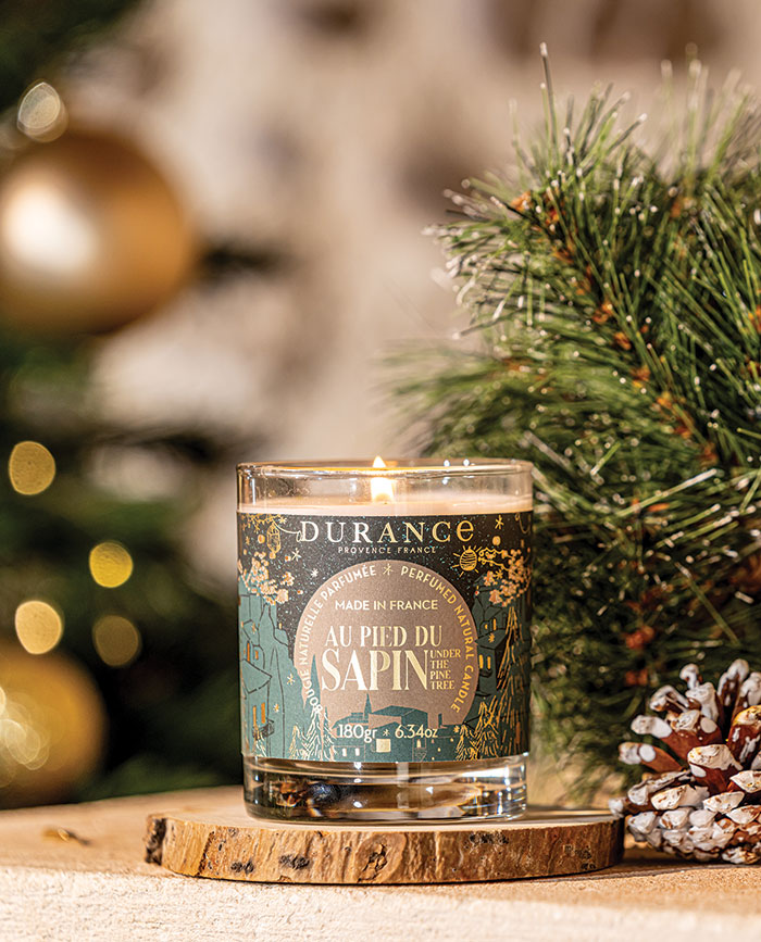 Ma déco de Noël 7 decoration de noel hiver fetes 2023