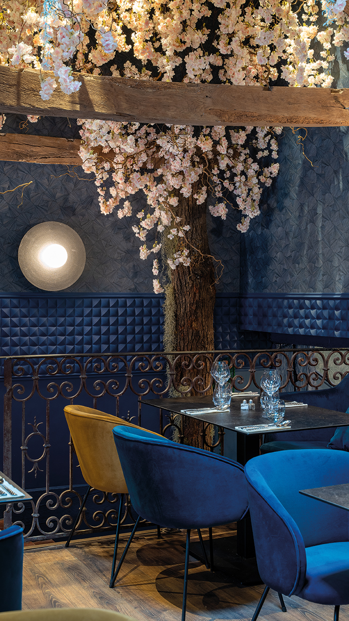 Carte blanche pour nouvelle carte 3 decoratrice albi