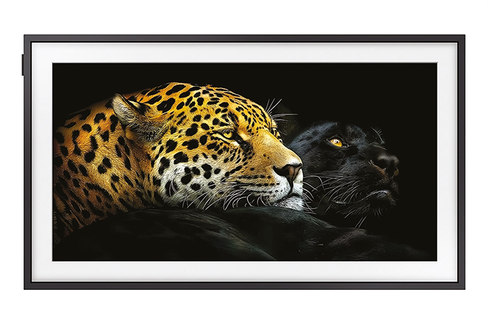 salon intemporel mobilier