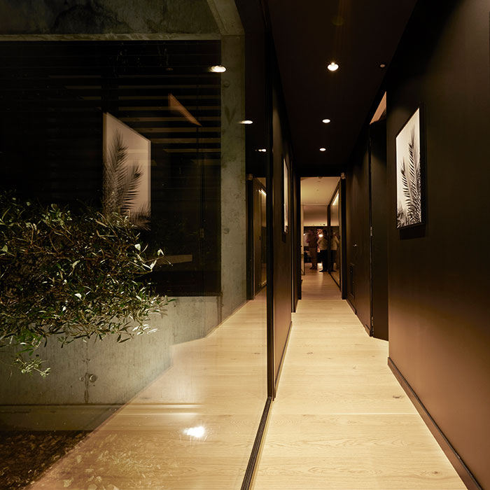 maison neuve toulouse