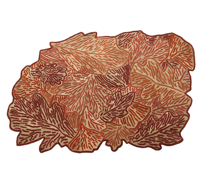 Somptueux tapis 1 tapis design