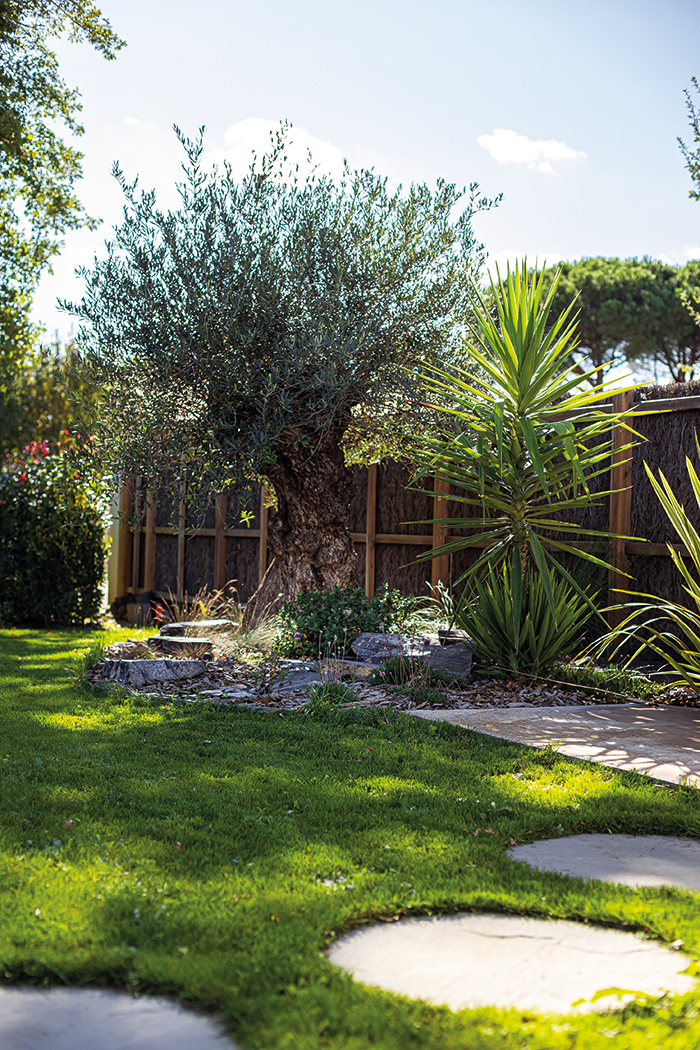 spironello paysagiste