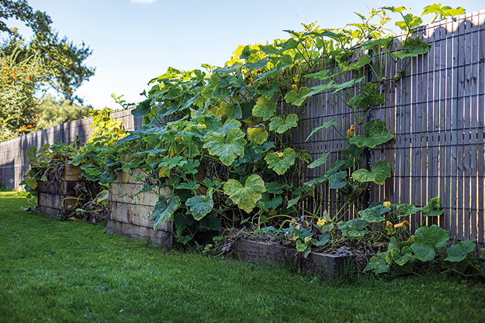 spironello paysagiste