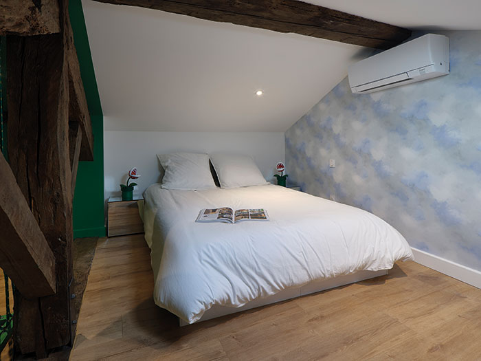 appartement mario bros toulouse